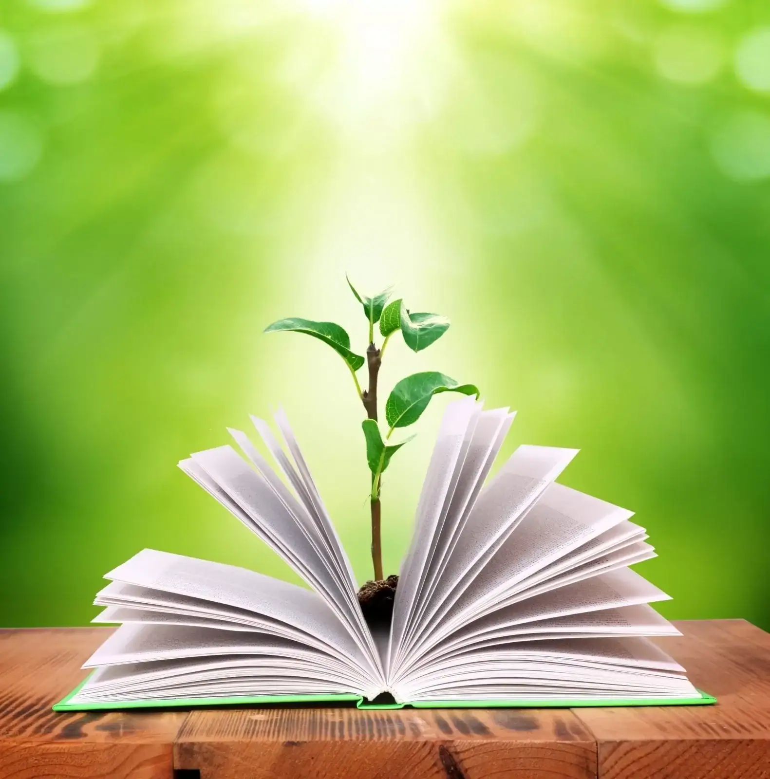 Tree-growing-from-book3